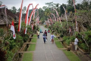 Bali: Besakih Great Temple & Penglipuran Village Day Tour