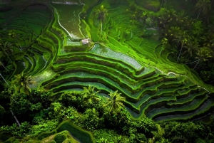 Bali: Besakih Great Temple Tour with Waterfal & Rice Terrace