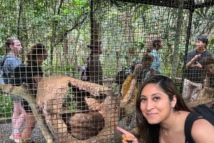 Bali: Besakih Temple Tour by Motorbike with Driver