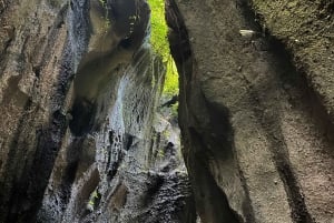 Bali: Besakih tempel, Tukad Cepung waterval, Penglipuran