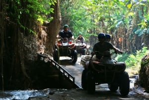 Bali : Meilleure randonnée en quad à Ubud avec traitement en spa