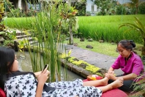 Bali: Paras mönkijä ratsastaa Ubudissa kylpylähoidon kanssa.