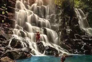 Bali: Østens bedste skjulte vandfald (privat tur)