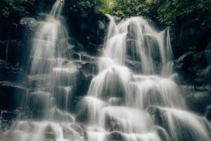 Bali: Najlepszy ukryty wodospad na wschodzie (wycieczka prywatna)