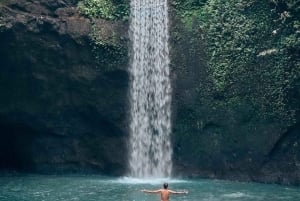 Bali: Österns bästa dolda vattenfall (privat rundtur)
