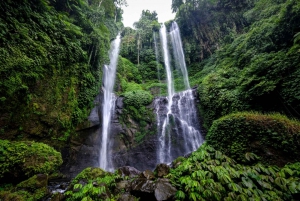 Bali: Best of the best Waterfall in Bali