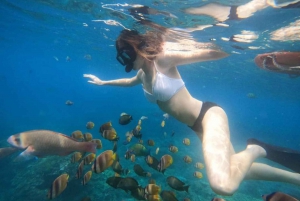 Bali : Best of trip Nusapenida & Snorkeling Adventure