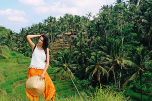 Bali: Det beste av Ubud. Skog, rismarker, tempel og mye mer. Privat