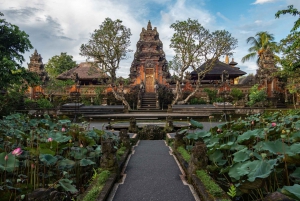 Bali: Det beste av Ubud. Skog, rismarker, tempel og mye mer. Privat