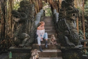 Ubud: Foresta di scimmie, terrazza di riso, tempio e cascata nascosta