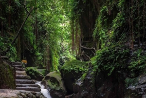 Ubud: Foresta di scimmie, terrazza di riso, tempio e cascata nascosta