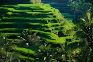 Bali: Best of Ubud Private Tour with Transfers and Guide
