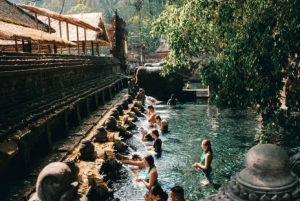Bali : Best Of Ubud Tour with Guide