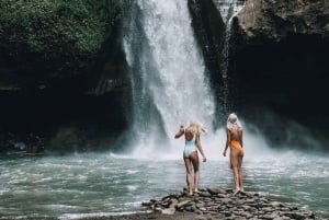 Bali : Best Of Ubud Tour with Guide