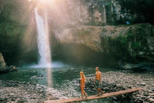 Bali : Best Of Ubud Tour with Guide