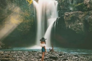 Bali : Best Of Ubud Tour with Guide