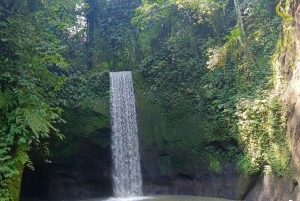 Bali: Best of Ubud Waterfalls Tour