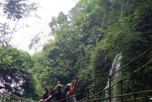 Bali: Best of Ubud Waterfalls Tour