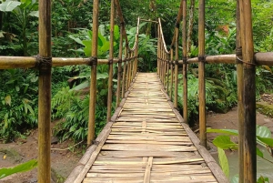 Bali: Best of Ubud Waterfalls Tour