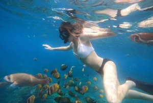 Bali : Best Trip of Nusapenida Island in one day