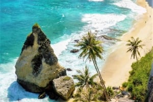 Bali : Best Trip of Nusapenida Island in one day