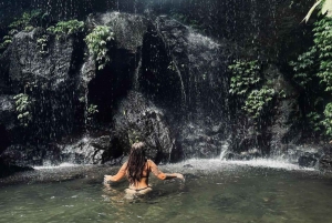 Bali: Best Ubud Hidden Waterfalls All-inclusive Tour