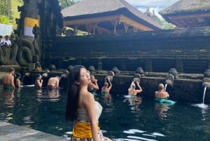 Las 3 Cascadas de Bali Top - Templo y Terraza de Arroz
