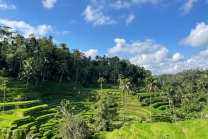 Las 3 Cascadas de Bali Top - Templo y Terraza de Arroz