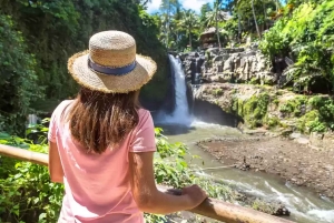 Tour privado por las mejores cataratas de Bali