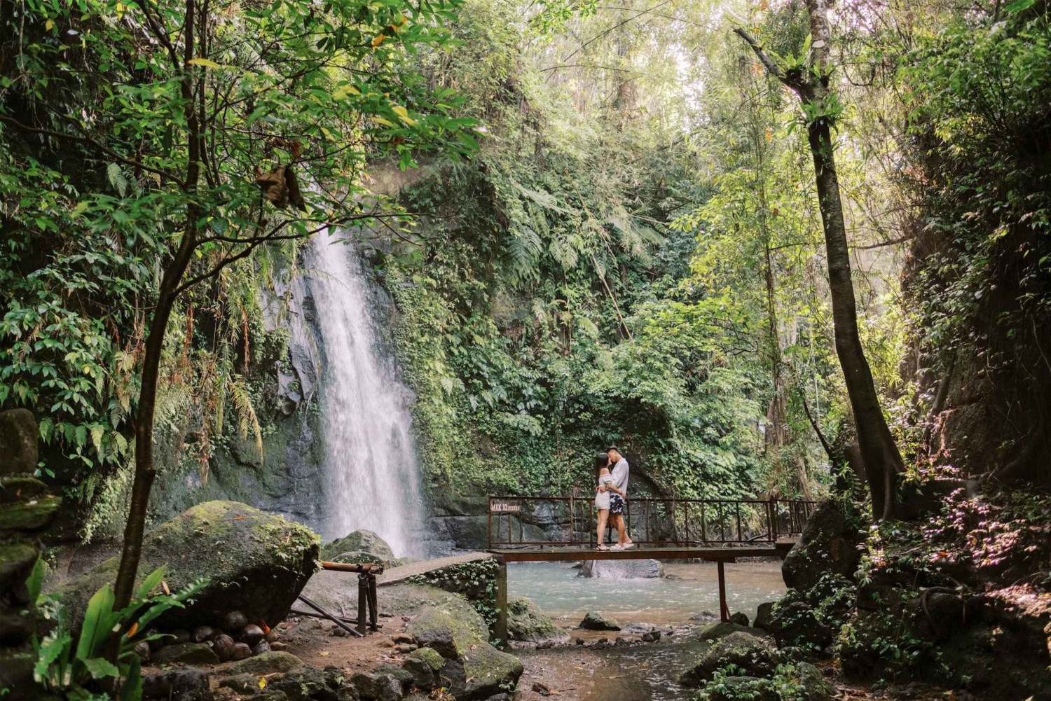 Bali: As melhores cascatas e terraços de arroz com transferes privados