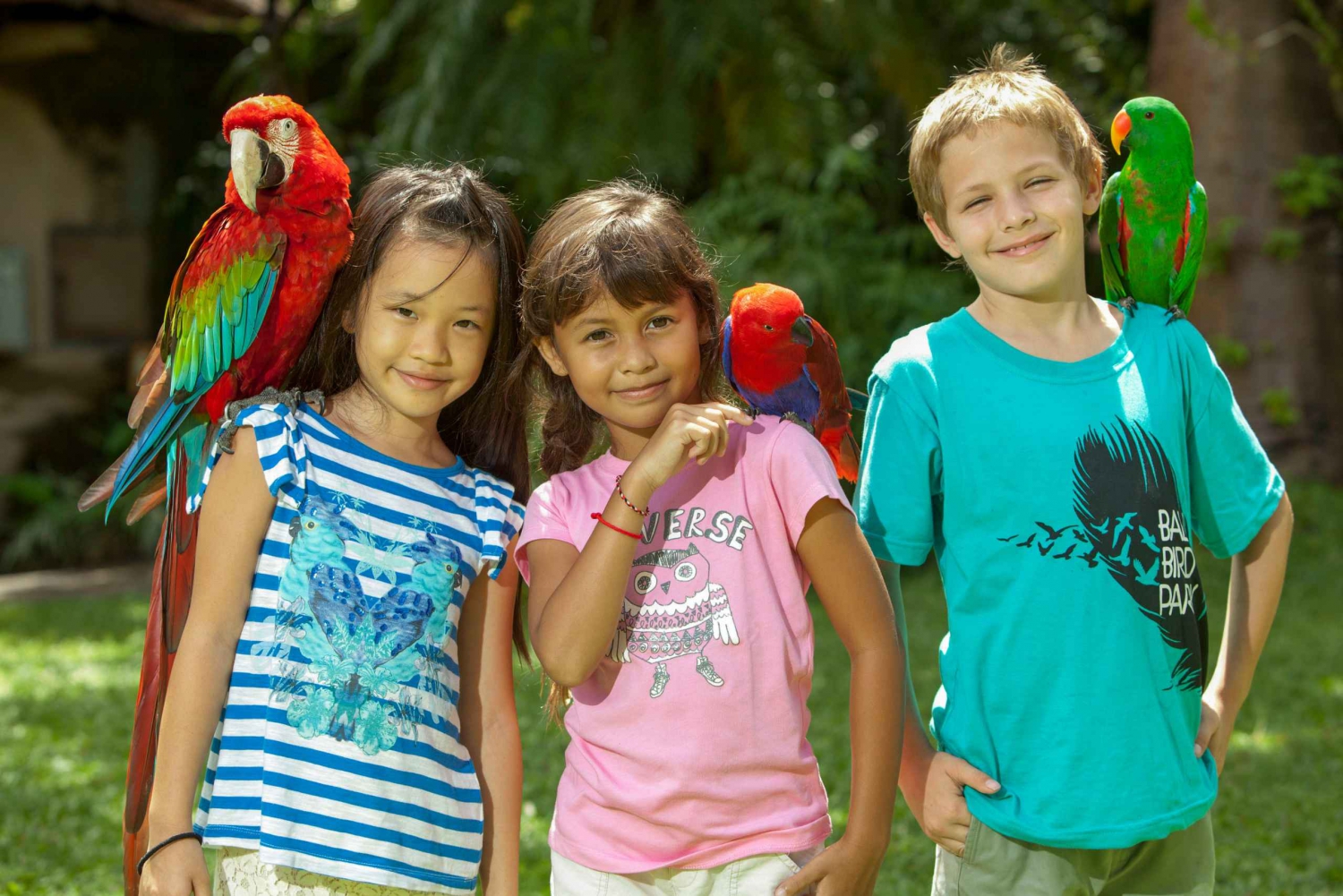 Bali Bird Park: ticket de entrada de 1 día