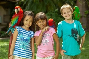 Bali Bird Park: 1 päivän pääsylippu