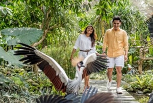 Bali Bird Park 1-Day Admission Ticket