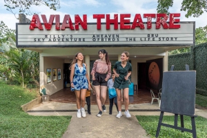 Билет на 1 день в парк птиц Бали