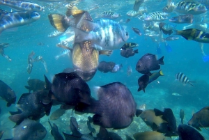 Bali: Blue Lagon Snorkeling & Waterfall Tour