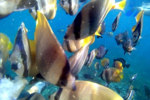 Bali: Blue Lagon Snorkeling & Waterfall Tour