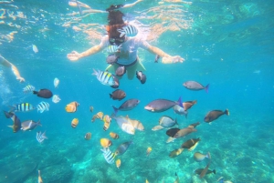 Bali: Blue Lagon Snorkeling & Waterfall Tour