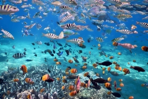 Bali: Tour della laguna blu e dello snorkeling di Tanjung Jepun