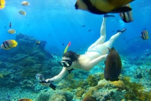 Bali: Tour della laguna blu e dello snorkeling di Tanjung Jepun