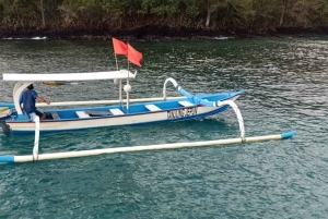 Bali: Tour della laguna blu e dello snorkeling di Tanjung Jepun