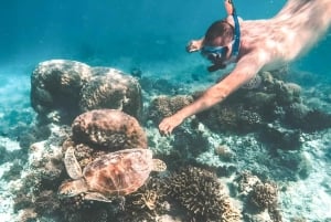 Bali : Excursion de plongée en apnée sur la plage du Lagon Bleu avec déjeuner