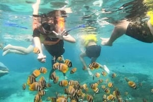 Bali: Snorklingstur till Blue Lagoon Beach med lunch