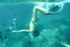 Bali: Tour di snorkeling sulla spiaggia della Laguna Blu con pranzo