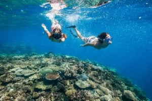 Bali: Snorkletur med lunsj på Blue Lagoon-stranden