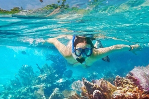 Bali: Blue Lagoon Beach Snorkeling Tour with Lunch
