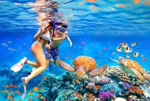 Bali: Blue Lagoon Snorkel & Tenganan Village Trip with Lunch