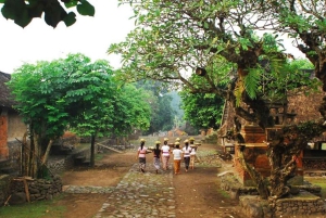 Bali: Blue Lagoon Snorkel & Tenganan Village Trip with Lunch