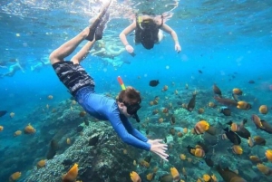 Bali: Blue Lagoon Snorkel & Tenganan Village Trip with Lunch