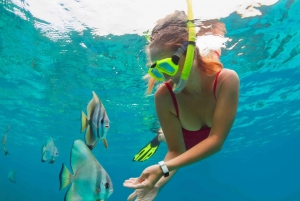 Bali: Blue Lagoon Snorkeling and Tanjung Jepun Private Tour