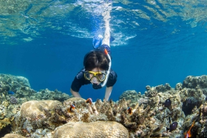 Bali Blaue Lagune Schnorcheln und Wasserfall Tour